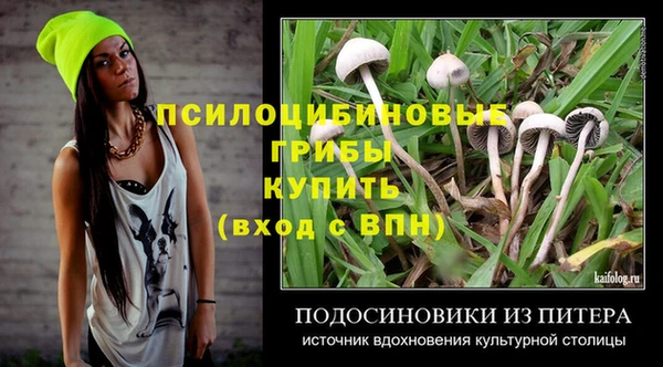 первитин Алексин