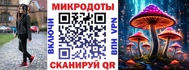 где найти   Курлово  Псилоцибиновые грибы GOLDEN TEACHER 
